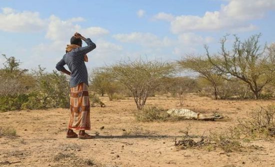 الصومال: الجفاف يضرب إقليم هيران ومناطق أخرى