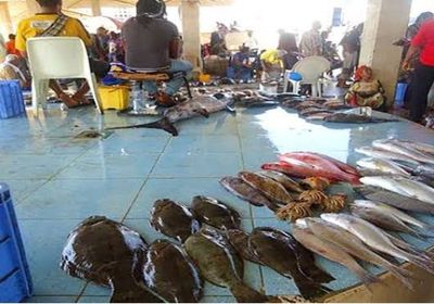 ارتفاع جديد لأسعار الأسماك في أسواق عدن