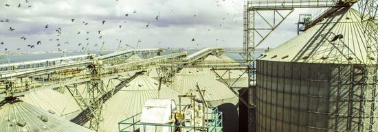 تسعير جديد للدقيق بأنواعه في العاصمة عدن