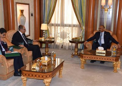 الزُبيدي: دور مصري في التسوية السياسية للصراع