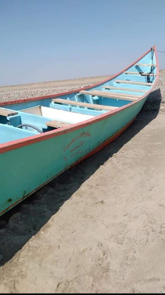 ضبط 50 مهاجرا غير شرعي بسواحل لحج