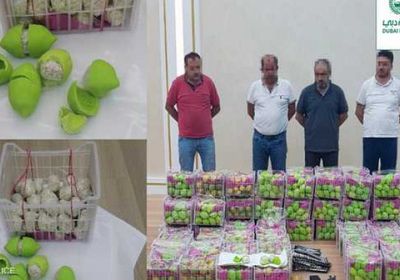 في عملية نوعية.. الإمارات تحبط تهريب مليون قرص كبتاجون