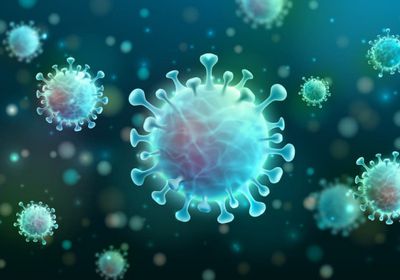 شفاء حالتين من "كورونا" في حضرموت والمهرة