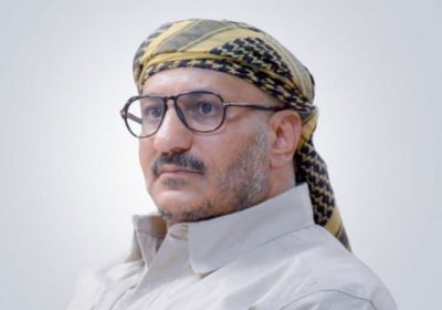 طارق صالح: انتصارات العمالقة تثبت هشاشة الحوثي