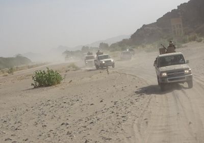 ألوية العمالقة تتجه إلى نجد مرقد في عين