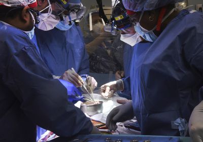 جراحون أمريكيون يزرعون قلب خنزير بإنسان بشري