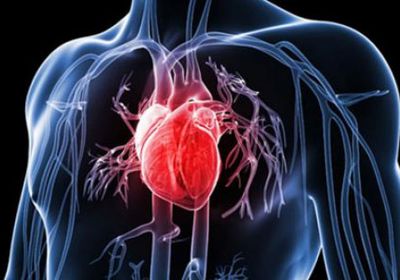 هل زيت الزيتون يقلل من خطر الوفاة بسبب أمراض القلب؟ 