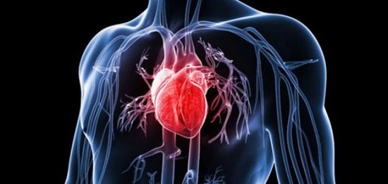 هل زيت الزيتون يقلل من خطر الوفاة بسبب أمراض القلب؟ 