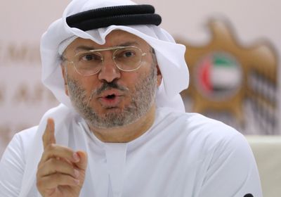 قرقاش: خطة الـ100 يوم لـ"هيئة حقوق الإنسان" تعزز سجل الإمارات