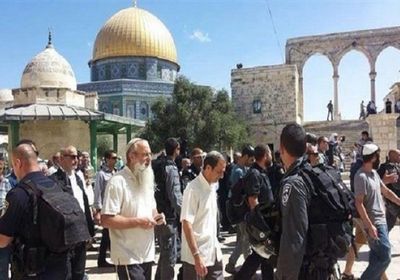 تحت حراسة قوات الاحتلال.. مستوطنون يقتحمون المسجد الأقصى