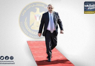 الزُبيدي: الجنوب يقرر مصيره وليس الموقف الدولي