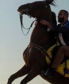 أحمد السقا يرقص بحصانه على أنغام "الغزالة رايقة"