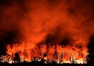 حريق هائل يقضي على 1500 فدان بغابات كاليفورنيا