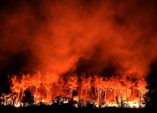 حريق هائل يقضي على 1500 فدان بغابات كاليفورنيا