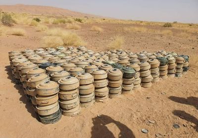 تفجير مئات من ألغام الحوثي في شبوة