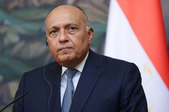 وزير الخارجية المصري يشدد على أهمية إخراج المرتزقة من ليبيا