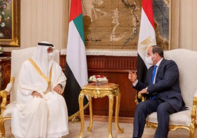 تعاون مصري إماراتي لمواجهة المخاطر في المنطقة