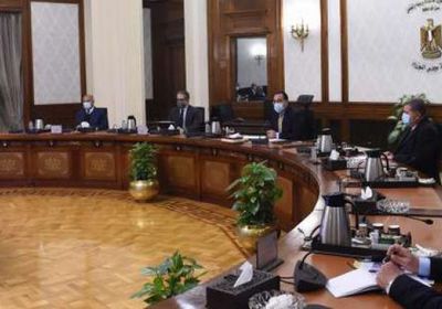 مصر.. الحكومة تنفي تسريح آلاف الموظفين بسبب التحول الرقمي