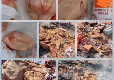 مخالفة للمواصفات.. رفض شحنة دجاج مجمد بميناء عدن