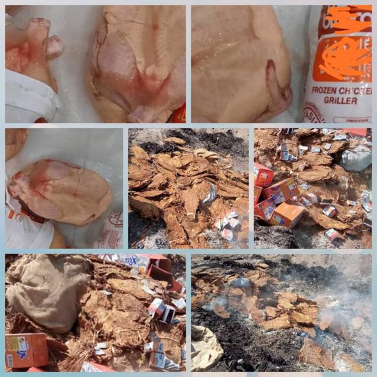 مخالفة للمواصفات.. رفض شحنة دجاج مجمد بميناء عدن