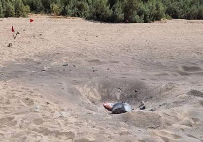 مسيرة حوثية تهاجم فريق نزع ألغام بحريب.. ولا خسائر