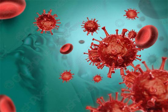  4 وفيات و21 إصابة جديدة بكورونا