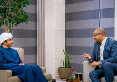 خلال لقائه وزير خارجية الإمارات.. كليفرلي يدين الإرهاب الحوثي