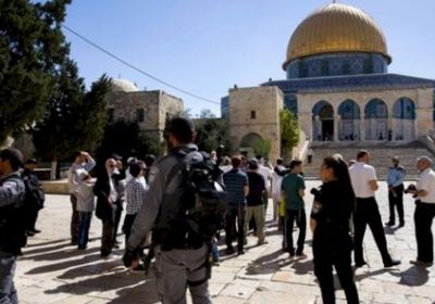 فلسطين.. عشرات المستوطنين يقتحمون الأقصى