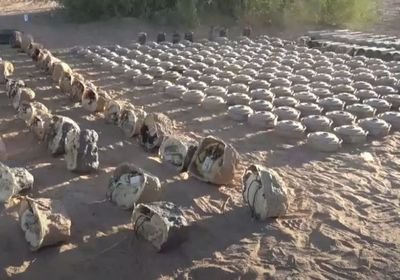 تكثيف أعمال نزع ألغام الحوثي في بيحان وحريب (فيديو)