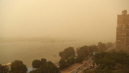 مصر.. الحكومة ترد على أنباء توقف محطات الطاقة الشمسية في البلاد