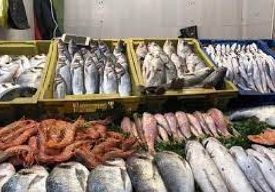 دورة حول معايير الجودة بمراكز الإنزال السمكي في عدن