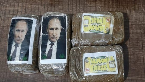ضبط 300 رزمة حشيش عليها صور بوتين في ليبيا