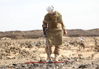 استشهاد عنصرين من "مسام" في حيس