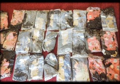 إحباط تهريب أكثر من 20 كيلوجرام حشيش إلى عدن