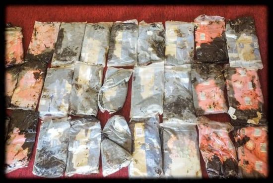 إحباط تهريب أكثر من 20 كيلوجرام حشيش إلى عدن