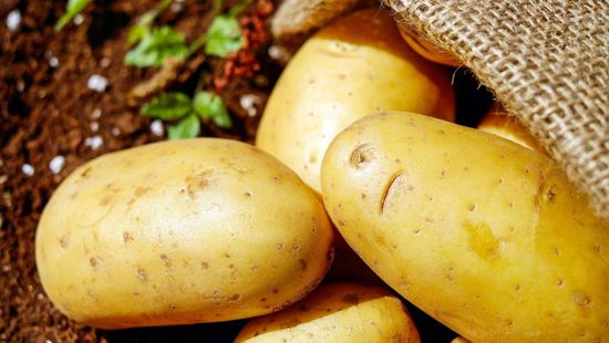 أهمية تناول البطاطس على جسم الإنسان