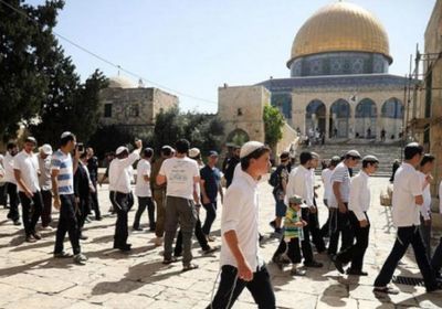 فلسطين.. عشرات المستوطنين يقتحمون الأقصى