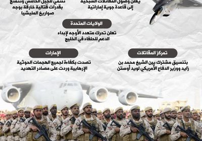 مقاتلات شبحية في الإمارات.. إف 22 تتربص بمسيرات الحوثي