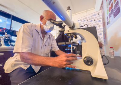 دراسات استقصائية لمرضى الملاريا في عدن ولحج