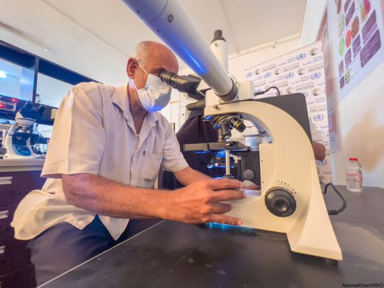 دراسات استقصائية لمرضى الملاريا في عدن ولحج