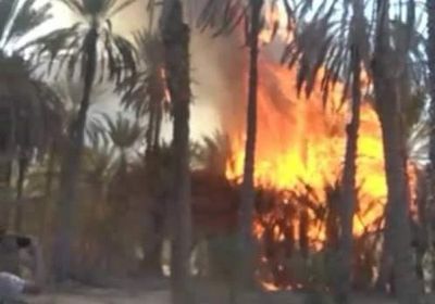 مناشدات لإخماده.. حريق يلتهم 200 نخلة في عسد الجبل