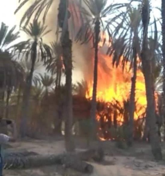 مناشدات لإخماده.. حريق يلتهم 200 نخلة في عسد الجبل