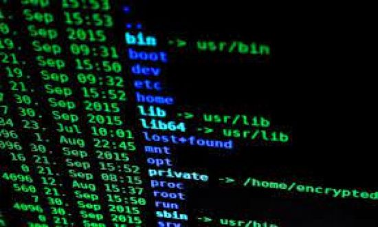 شبكات الإنترنت التابعة لـ"الدفاع الأوكرانية" تتعرض لاختراق