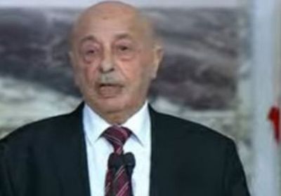 "النواب الليبي" يشدد على دعمه للسلطة القضائية