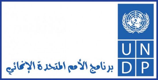 "الإنمائي" يدرب 299 موظفا عاما