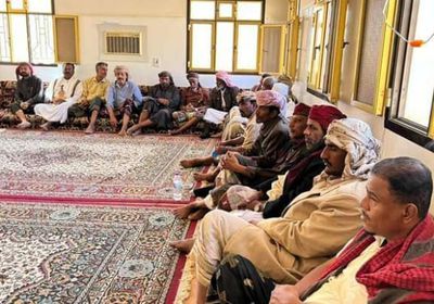 "حرو" ترفض اعتماد الشرعية على معايير حزبية للتجنيد