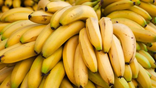 ما هي الفوائد الصحية لتناول الموز بصفة يومية؟