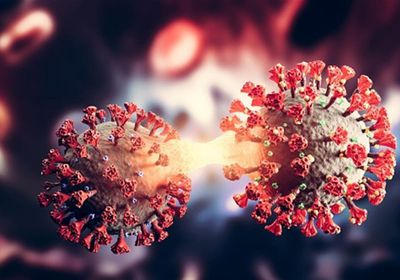 وفاة وإصابتين بكورونا في تعز.. وحضرموت تسجل 4 متعافين