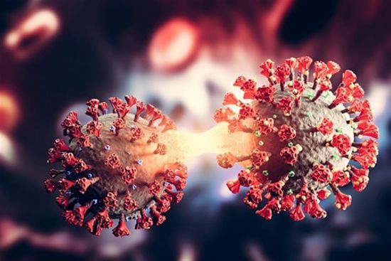 وفاة وإصابتين بكورونا في تعز.. وحضرموت تسجل 4 متعافين