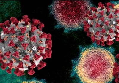 لا إصابات جديدة بفيروس كورونا